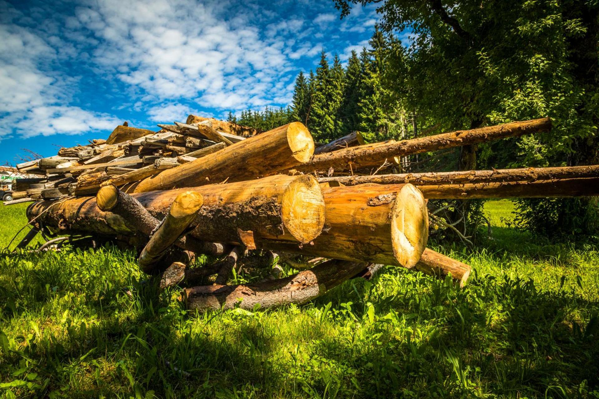Erbhof Hinterrain Villa Leogang Eksteriør bilde