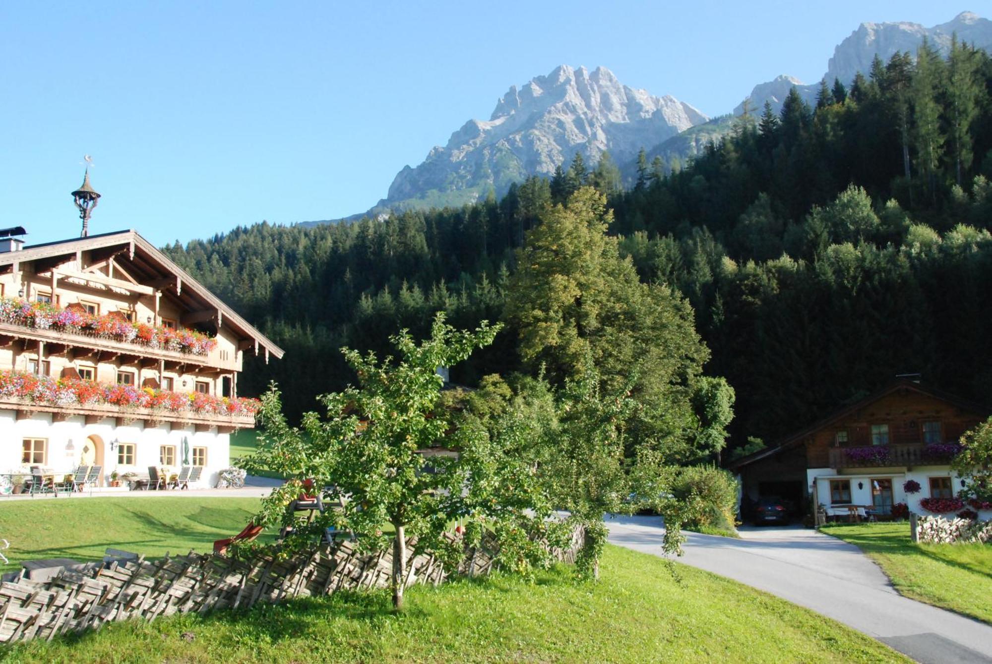 Erbhof Hinterrain Villa Leogang Eksteriør bilde